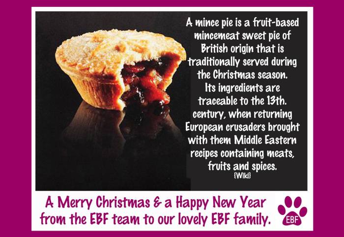 EBF Mince pie merry christmas.jpg