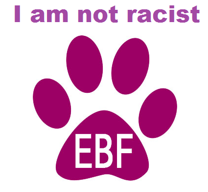 EBF Not racist transfer 5